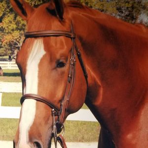 Meet your Posher, Sally